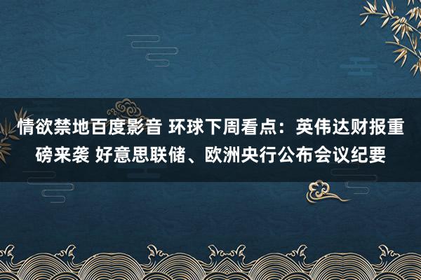 情欲禁地百度影音 环球下周看点：英伟达财报重磅来袭 好意思联储、欧洲央行公布会议纪要