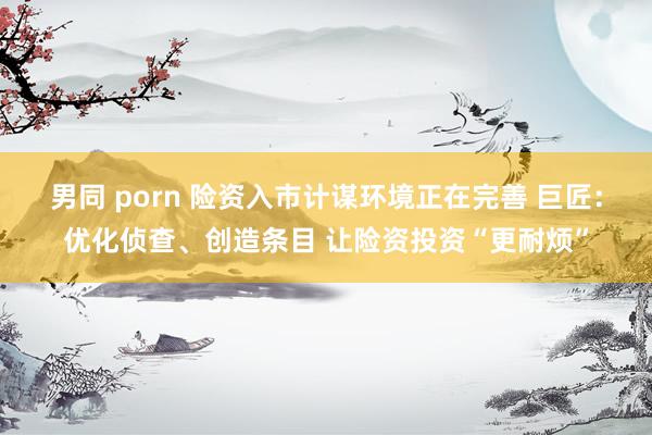 男同 porn 险资入市计谋环境正在完善 巨匠：优化侦查、创造条目 让险资投资“更耐烦”