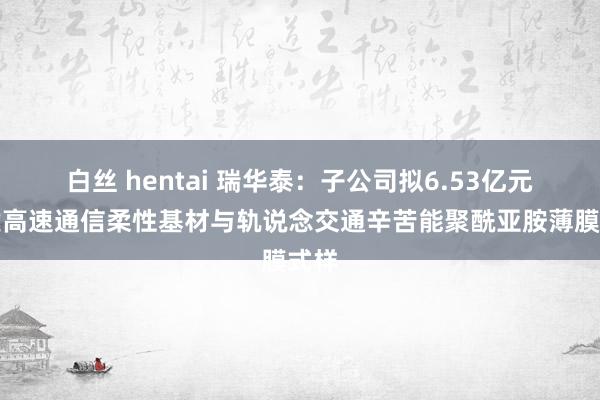 白丝 hentai 瑞华泰：子公司拟6.53亿元投建高速通信柔性基材与轨说念交通辛苦能聚酰亚胺薄膜式样