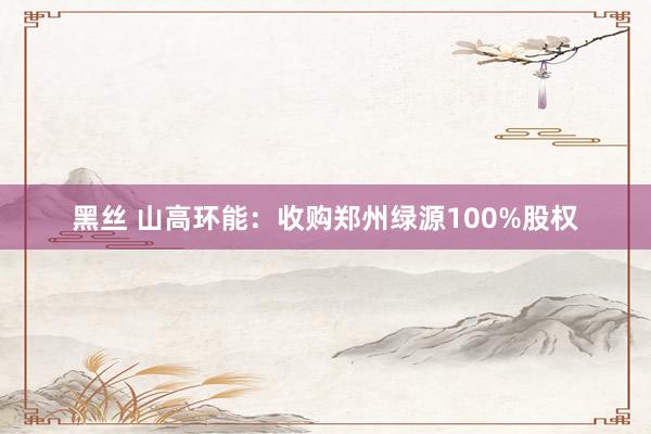 黑丝 山高环能：收购郑州绿源100%股权
