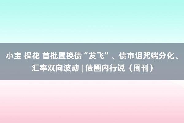 小宝 探花 首批置换债“发飞”、债市诅咒端分化、汇率双向波动 | 债圈内行说（周刊）