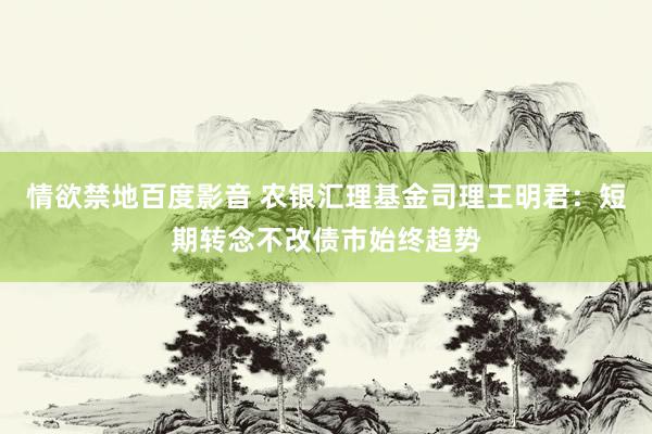 情欲禁地百度影音 农银汇理基金司理王明君：短期转念不改债市始终趋势