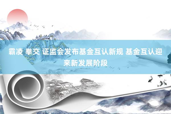 霸凌 拳交 证监会发布基金互认新规 基金互认迎来新发展阶段