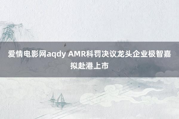 爱情电影网aqdy AMR科罚决议龙头企业极智嘉拟赴港上市